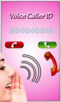 Voice Caller ID captura de pantalla 2