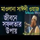 সাঈদীর অসাধারন  ওয়াজ APK