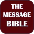 MESSAGE BIBLE
