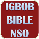 BIBLE NSO