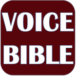 THE VOICE BIBLE