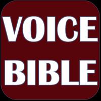 Poster THE VOICE BIBLE