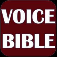 1 Schermata THE VOICE BIBLE