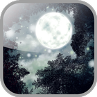 Night Sky icono