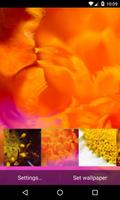 Blurred flowers Wallpaper capture d'écran 2