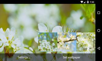 Thorn bush Live Wallpaper ảnh chụp màn hình 3