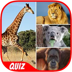 Animal Quiz APK 下載