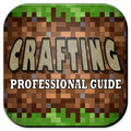 Crafting Guide Professional