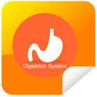 Sistem Pencernaan (Digestion) icône