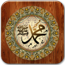 Kitab Nurul Yaqin Terjemahan APK