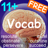 11+ English Vocabulary FREE icône