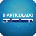 Biarticulado