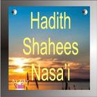 Hadith Shaheeh An Nasai icône