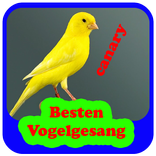 Top Sonneries oiseaux