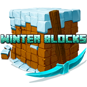 Winter Blocks icon