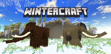 Winter Craft 4