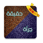 لعبة حقيقة أم جرأة icon