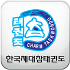 한국체대참태권도 icon