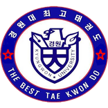 용인최고태권도본관(둔전리)