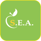 S.E.A.어학원-icoon