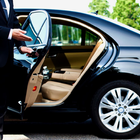 Private Security Driver أيقونة