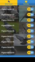 Pigeon Basic screenshot 2