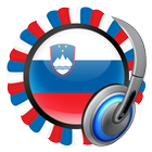Icona Slovenia Radio Stations