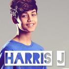 Harris J أيقونة