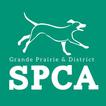 Grande Prairie & District SPCA