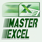 Master Excel icône