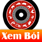 coi boi 2016 2017 icono