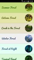 Forest Sounds 포스터