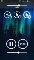 Forest Sounds - Nature & Sleep APK 下載