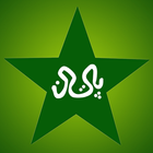 Pakistan Cricket News Lite アイコン