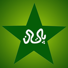 Pakistan Cricket News Lite आइकन