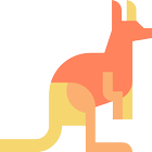 Kangaroo Math icône