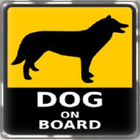 ikon The Dog Care Handbook