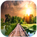 NEW WALLPAPERS FOR GREEN NATURE APK
