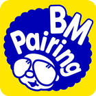 BM Pairing icône