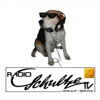 Radio Schultze ikon