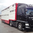 WST WS Trucks GmbH APK