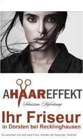 A HAAR Effekt 截图 1