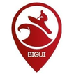 Bigui Surf Eskola