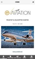 G-AVIATION Privatjet Charter Affiche