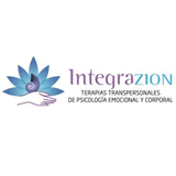 Integrazion icon