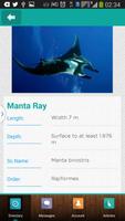 DiveAdvisor - Scuba Diving App Affiche