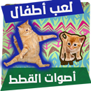 القطة المشمشية APK