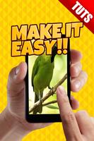 Tutorial Perawatan Burung Kicau screenshot 2