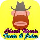 Icona Top 100 Chuck Norris jokes