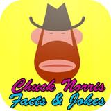 Top 100 Chuck Norris jokes 圖標